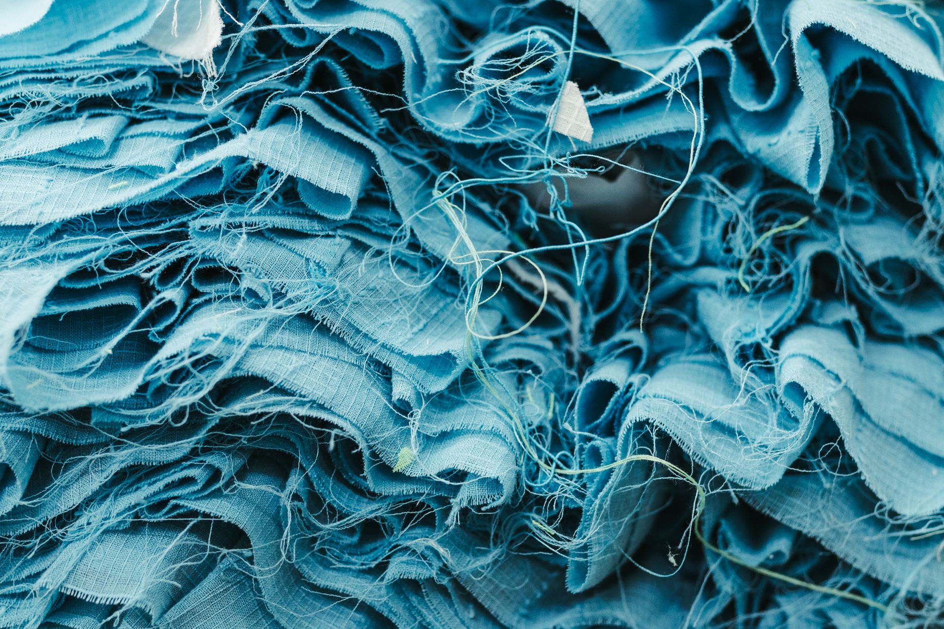 tissu moisi